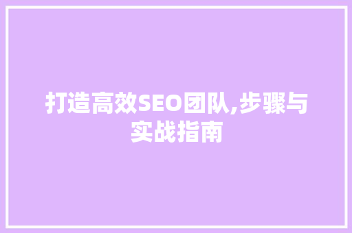 打造高效SEO团队,步骤与实战指南