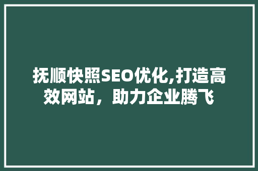 抚顺快照SEO优化,打造高效网站，助力企业腾飞