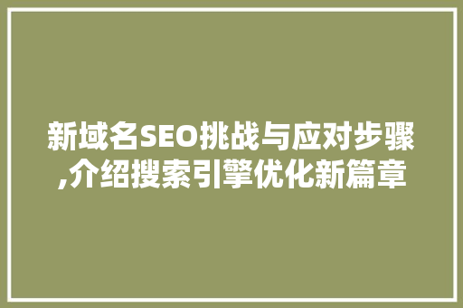新域名SEO挑战与应对步骤,介绍搜索引擎优化新篇章