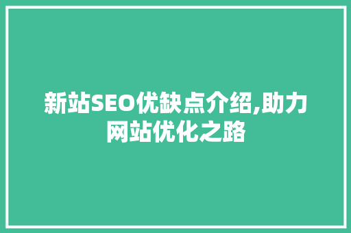 新站SEO优缺点介绍,助力网站优化之路