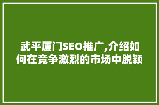 武平厦门SEO推广,介绍如何在竞争激烈的市场中脱颖而出