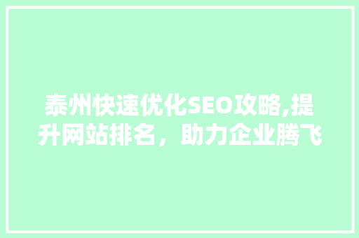 泰州快速优化SEO攻略,提升网站排名，助力企业腾飞