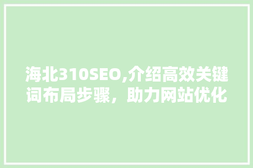 海北310SEO,介绍高效关键词布局步骤，助力网站优化升级