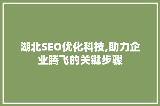 湖北SEO优化科技,助力企业腾飞的关键步骤