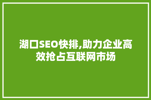 湖口SEO快排,助力企业高效抢占互联网市场