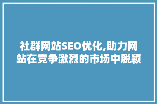 社群网站SEO优化,助力网站在竞争激烈的市场中脱颖而出