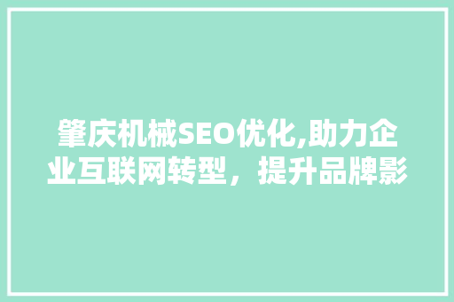 肇庆机械SEO优化,助力企业互联网转型，提升品牌影响力
