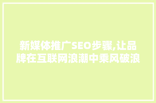 新媒体推广SEO步骤,让品牌在互联网浪潮中乘风破浪