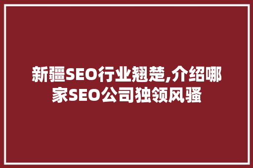 新疆SEO行业翘楚,介绍哪家SEO公司独领风骚