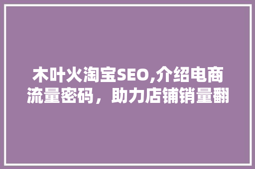 木叶火淘宝SEO,介绍电商流量密码，助力店铺销量翻倍