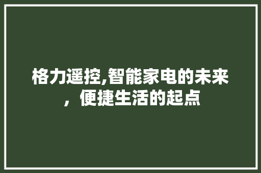 格力遥控,智能家电的未来，便捷生活的起点