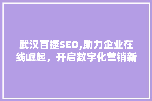 武汉百捷SEO,助力企业在线崛起，开启数字化营销新篇章