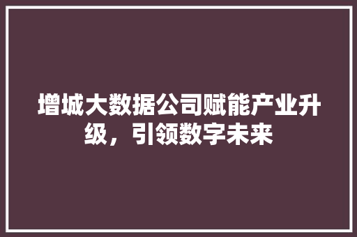 增城大数据公司赋能产业升级，引领数字未来