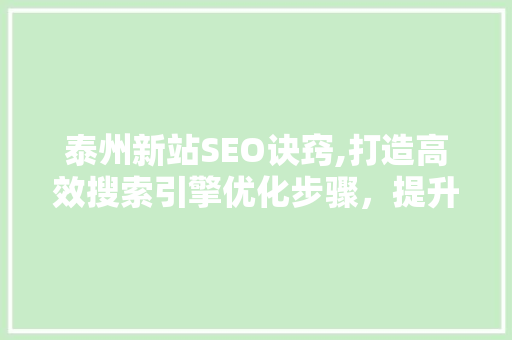 泰州新站SEO诀窍,打造高效搜索引擎优化步骤，提升网站排名