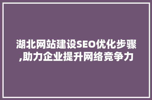 湖北网站建设SEO优化步骤,助力企业提升网络竞争力