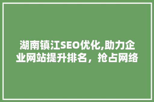 湖南镇江SEO优化,助力企业网站提升排名，抢占网络市场先机