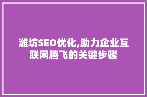 潍坊SEO优化,助力企业互联网腾飞的关键步骤