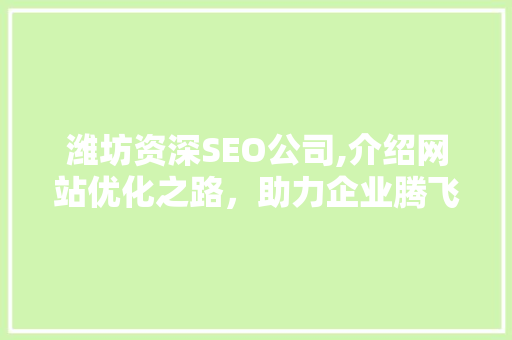 潍坊资深SEO公司,介绍网站优化之路，助力企业腾飞
