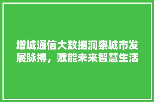 增城通信大数据洞察城市发展脉搏，赋能未来智慧生活