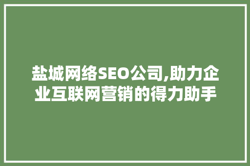 盐城网络SEO公司,助力企业互联网营销的得力助手