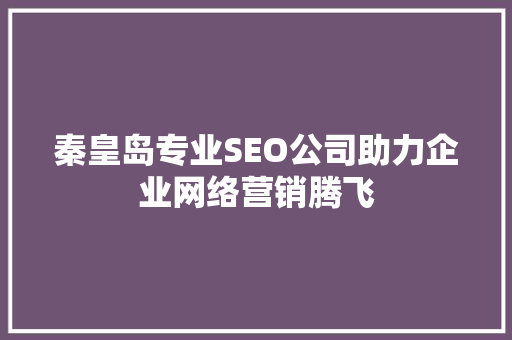 秦皇岛专业SEO公司助力企业网络营销腾飞