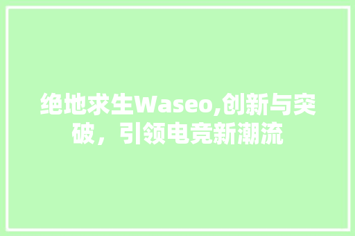 绝地求生Waseo,创新与突破，引领电竞新潮流