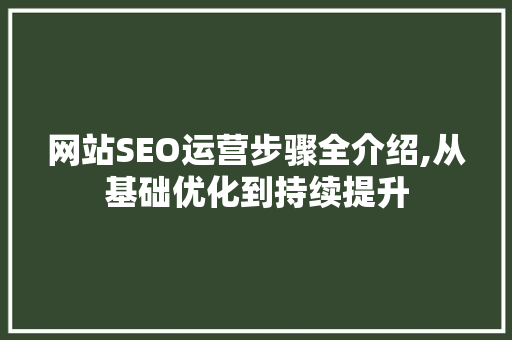 网站SEO运营步骤全介绍,从基础优化到持续提升