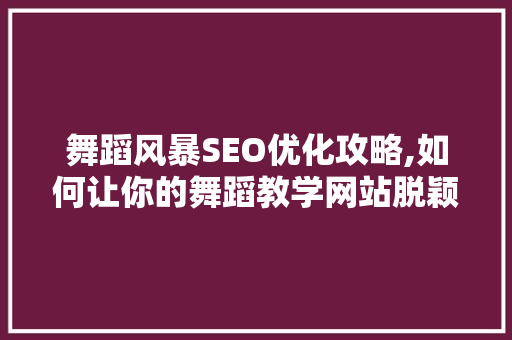 舞蹈风暴SEO优化攻略,如何让你的舞蹈教学网站脱颖而出