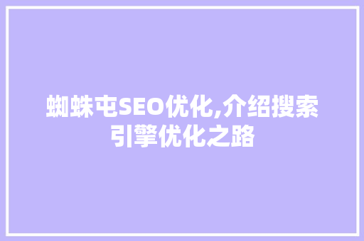 蜘蛛屯SEO优化,介绍搜索引擎优化之路