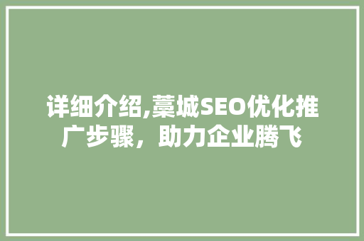 详细介绍,藁城SEO优化推广步骤，助力企业腾飞