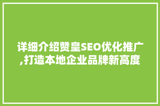 详细介绍赞皇SEO优化推广,打造本地企业品牌新高度