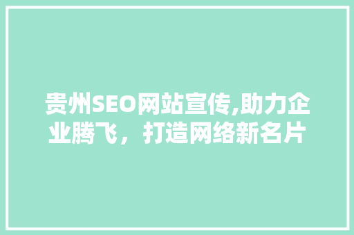 贵州SEO网站宣传,助力企业腾飞，打造网络新名片