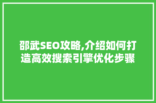 邵武SEO攻略,介绍如何打造高效搜索引擎优化步骤