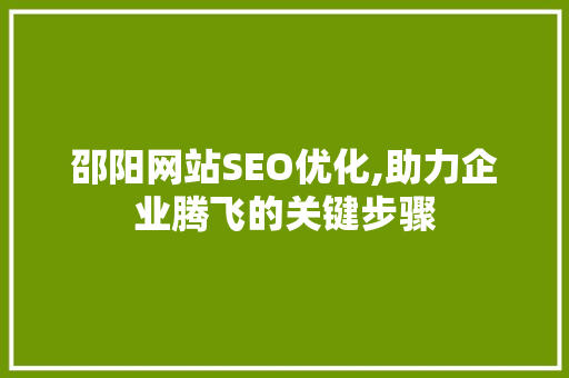 邵阳网站SEO优化,助力企业腾飞的关键步骤