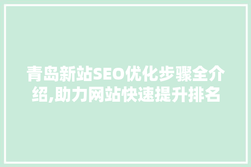 青岛新站SEO优化步骤全介绍,助力网站快速提升排名