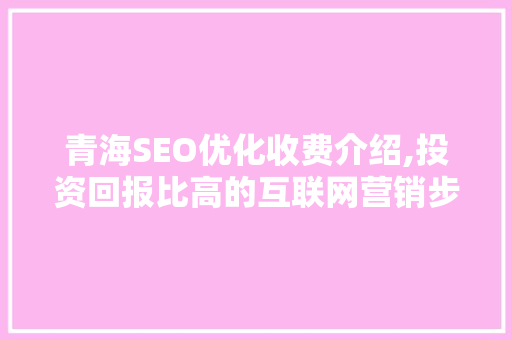 青海SEO优化收费介绍,投资回报比高的互联网营销步骤