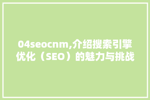 04seocnm,介绍搜索引擎优化（SEO）的魅力与挑战