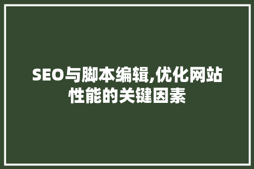 SEO与脚本编辑,优化网站性能的关键因素