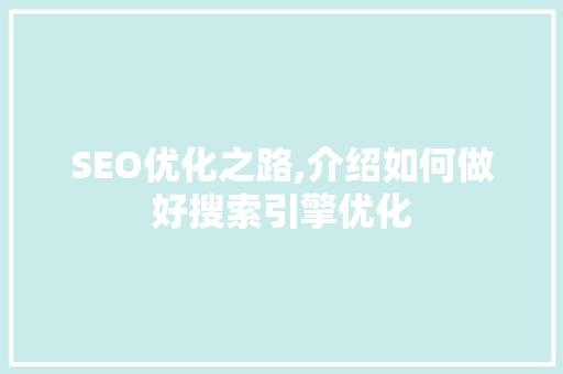 SEO优化之路,介绍如何做好搜索引擎优化