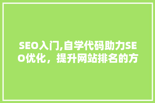 SEO入门,自学代码助力SEO优化，提升网站排名的方法
