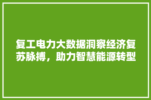复工电力大数据洞察经济复苏脉搏，助力智慧能源转型  第1张