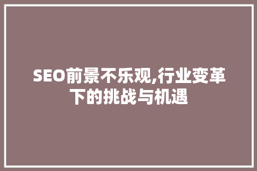SEO前景不乐观,行业变革下的挑战与机遇