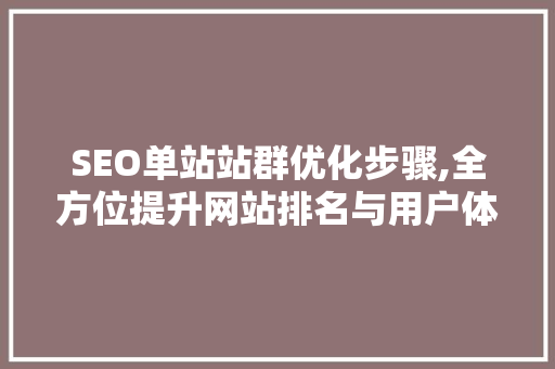 SEO单站站群优化步骤,全方位提升网站排名与用户体验
