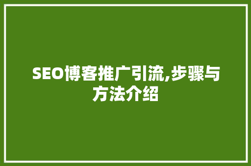SEO博客推广引流,步骤与方法介绍