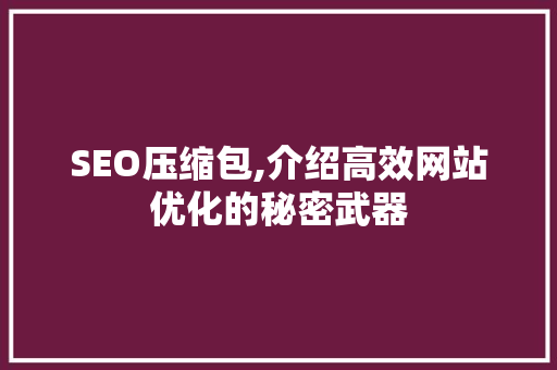 SEO压缩包,介绍高效网站优化的秘密武器