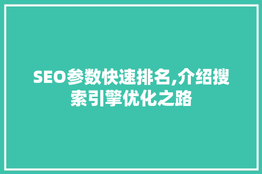 SEO参数快速排名,介绍搜索引擎优化之路