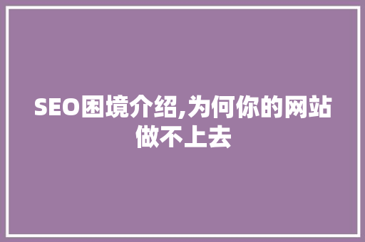 SEO困境介绍,为何你的网站做不上去