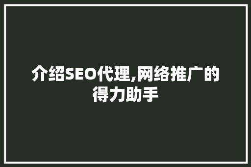 介绍SEO代理,网络推广的得力助手