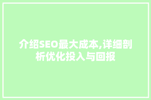 介绍SEO最大成本,详细剖析优化投入与回报