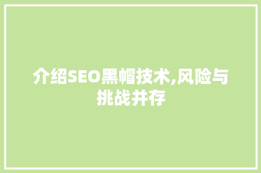 介绍SEO黑帽技术,风险与挑战并存
